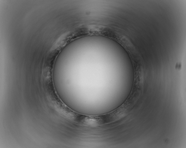 X0000111020706200906191652