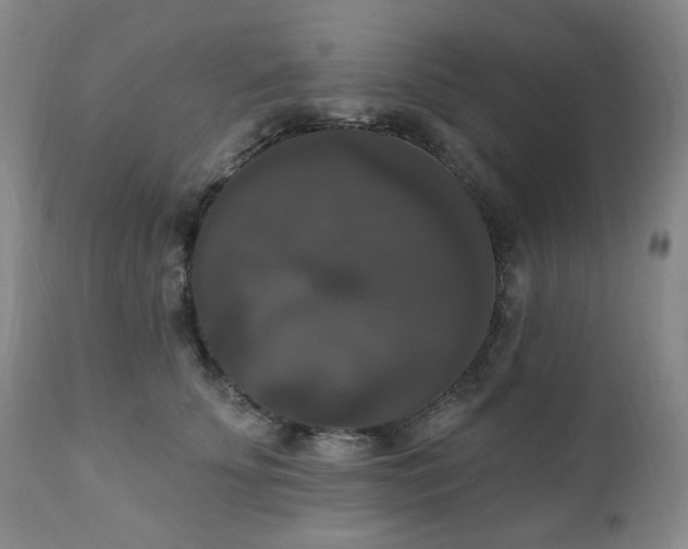 X0000111020707200906191652