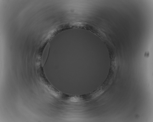 X0000111020708200906191652