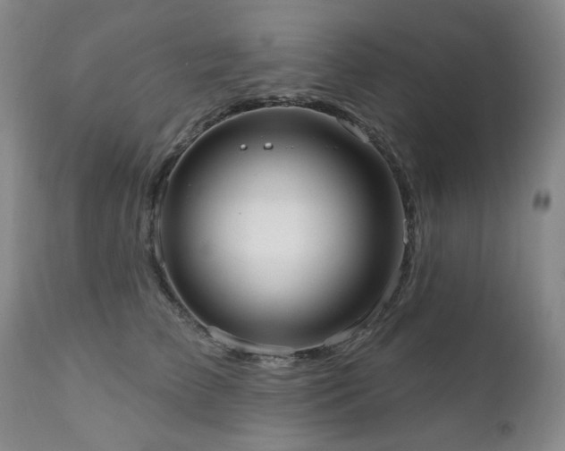 X0000111020709200906191652