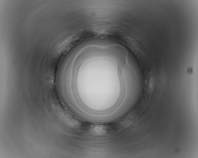 X0000111020710200906191652