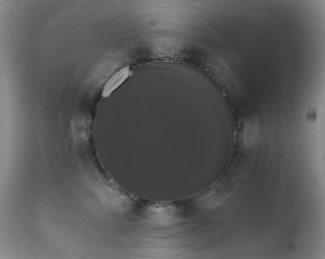 X0000111020712200906191652