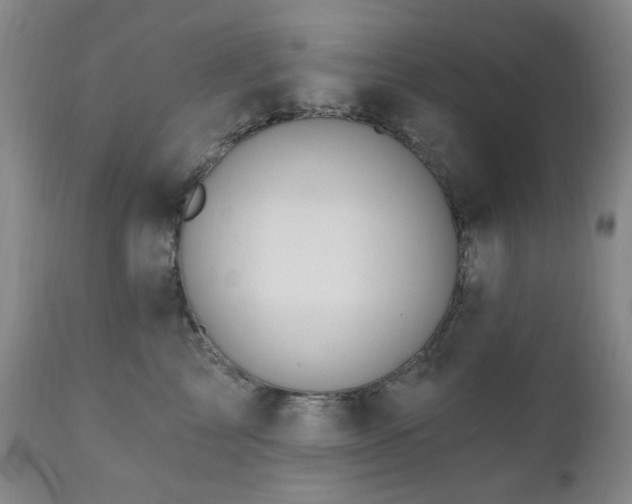 X0000111020713200906191652
