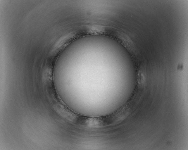 X0000111020714200906191652