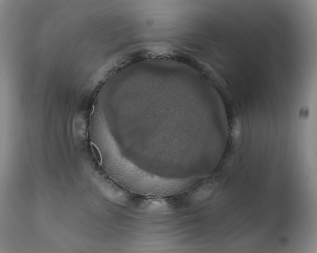 X0000111020715200906191652