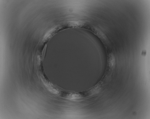 X0000111020716200906191652