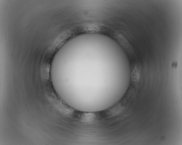 X0000111020717200906191652