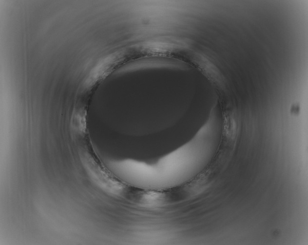 X0000111020718200906191652