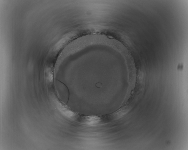 X0000111020719200906191652