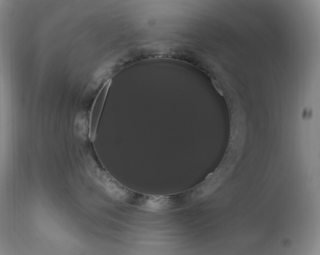 X0000111020720200906191652