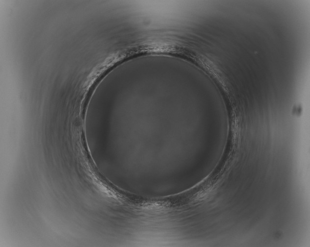 X0000111020721200906191651