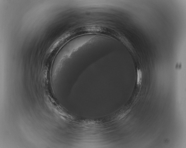 X0000111020723200906191651