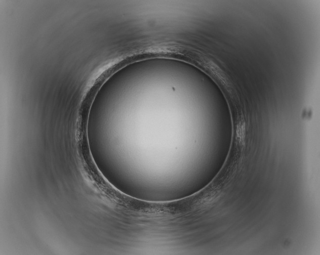X0000111020724200906191651