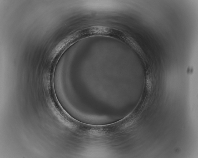 X0000111020725200906191651