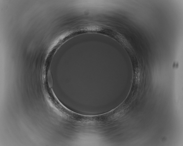 X0000111020726200906191651