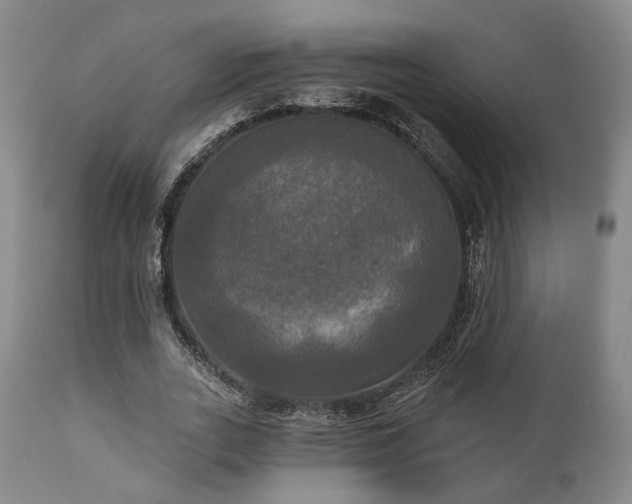 X0000111020727200906191651