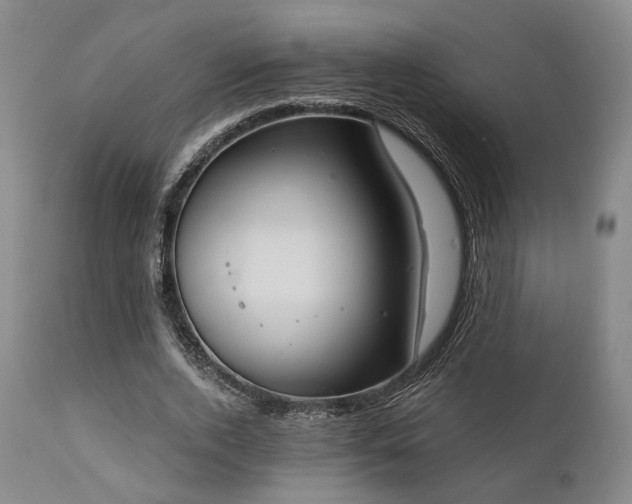 X0000111020728200906191651