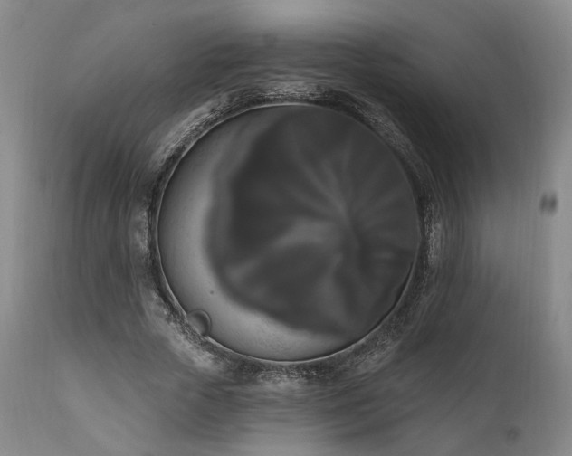 X0000111020729200906191651