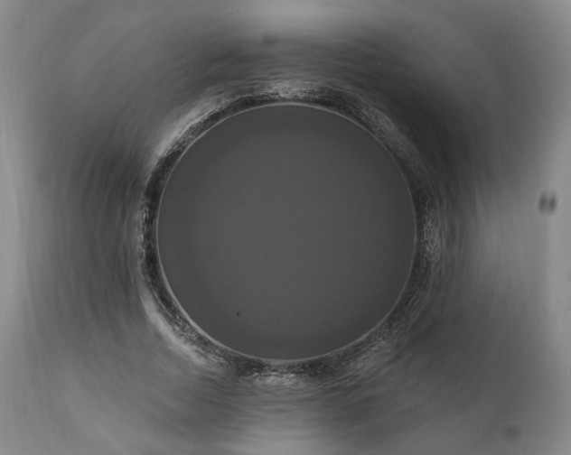 X0000111020730200906191651