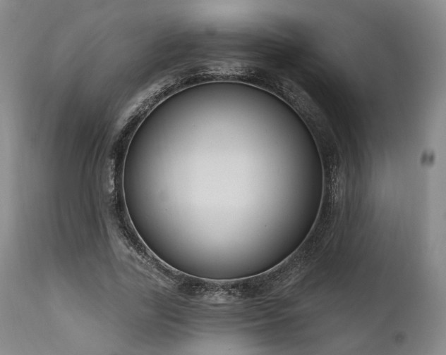 X0000111020731200906191651