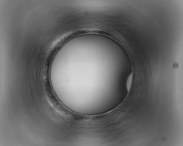 X0000111020732200906191651