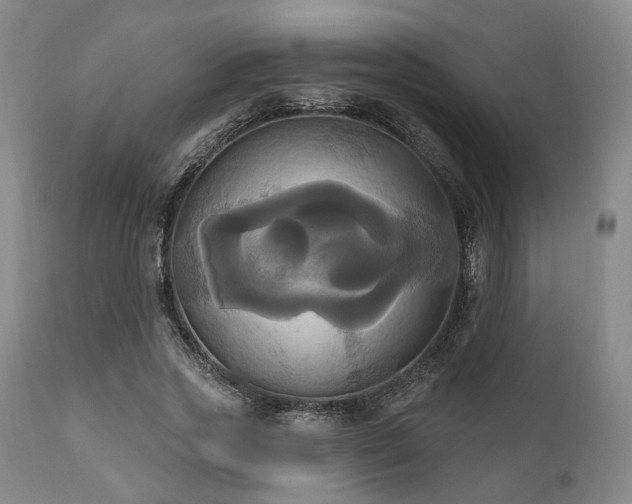 X0000111020733200906191651