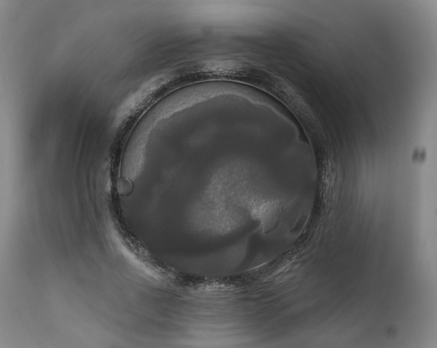 X0000111020734200906191651