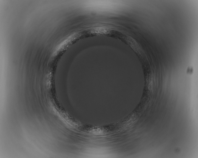 X0000111020735200906191651