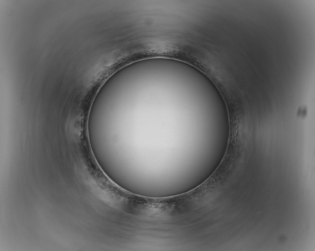 X0000111020736200906191651