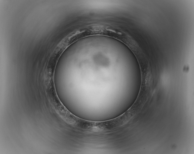 X0000111020737200906191651