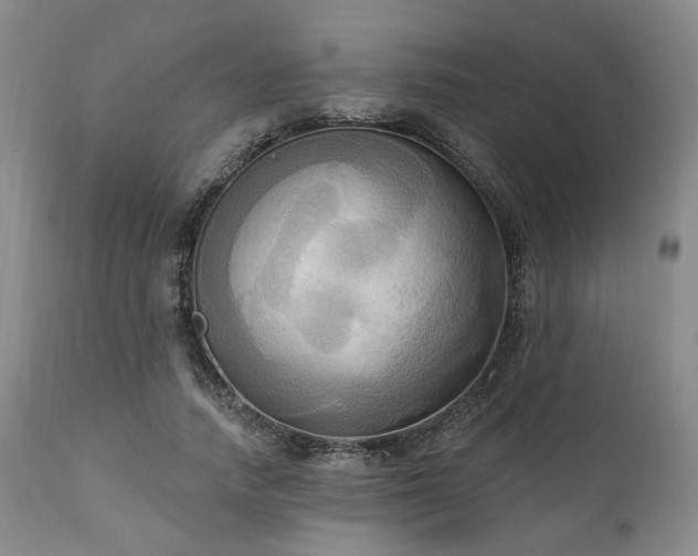 X0000111020738200906191651