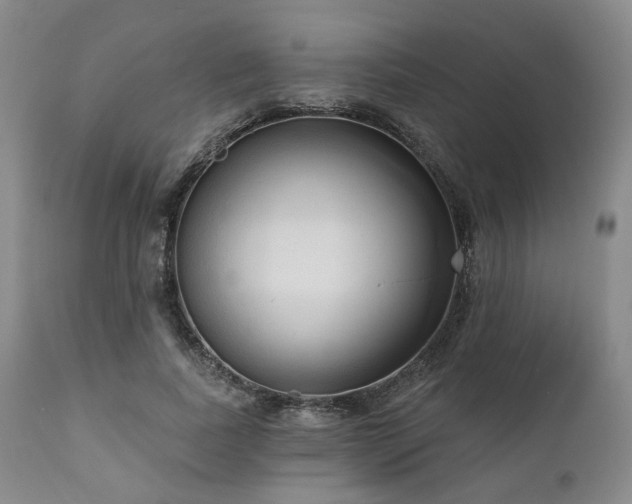 X0000111020739200906191652