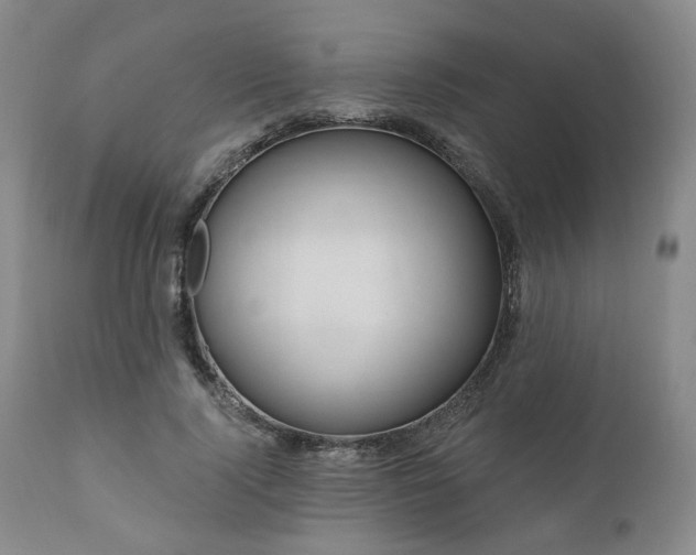 X0000111020740200906191652