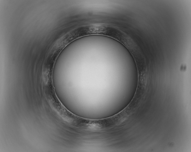 X0000111020741200906191652