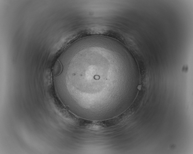 X0000111020743200906191652