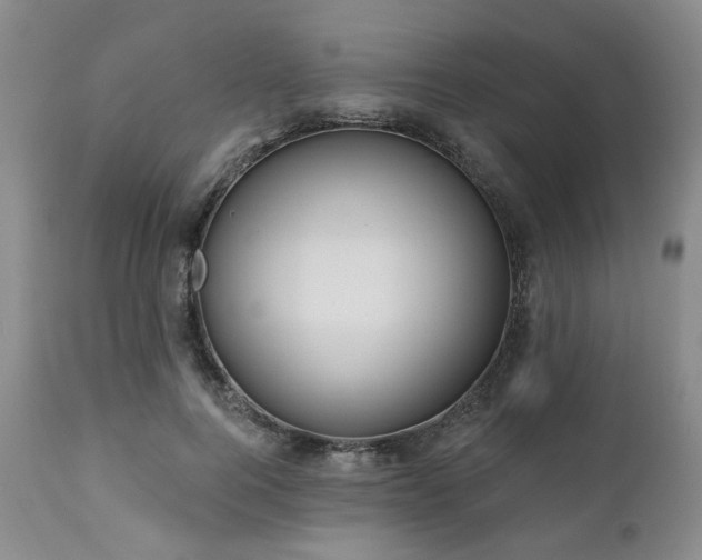 X0000111020744200906191652