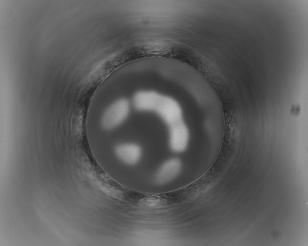 X0000111020745200906191652