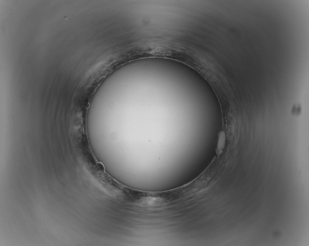 X0000111020748200906191652