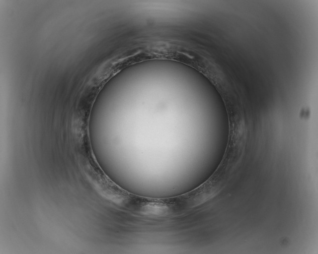 X0000111020749200906191652