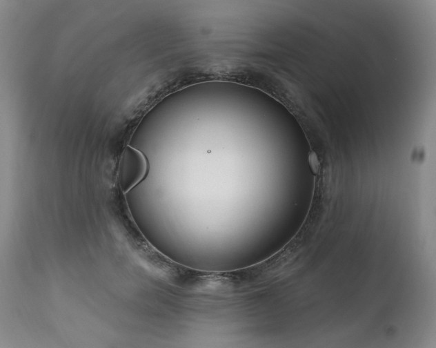 X0000111020750200906191652