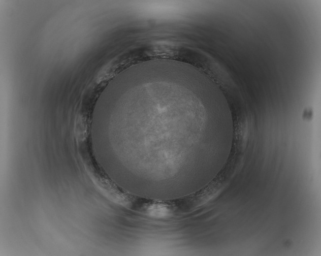 X0000111020751200906191652