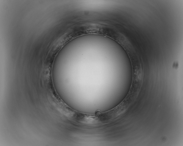 X0000111020753200906191652