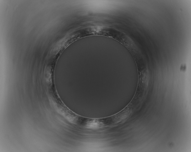 X0000111020754200906191652