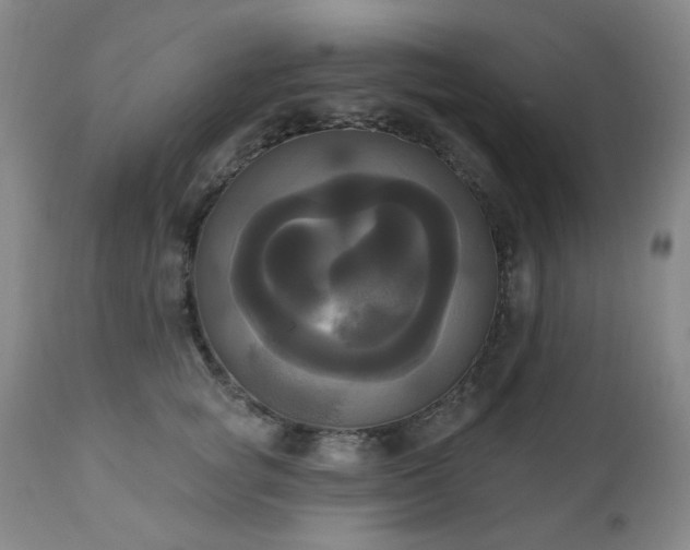 X0000111020757200906191652