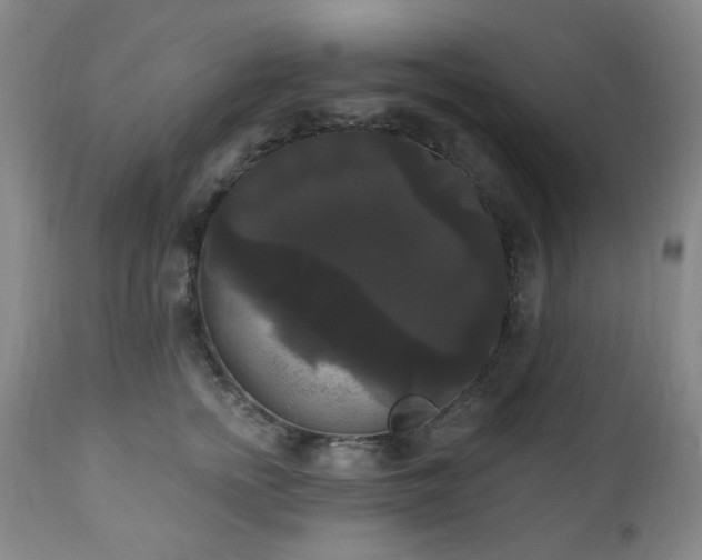 X0000111020758200906191652