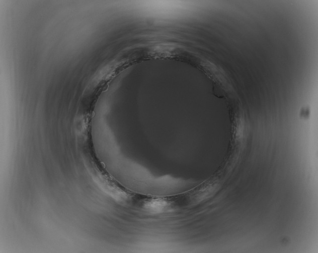 X0000111020759200906191652