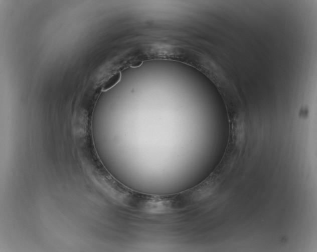 X0000111020760200906191652