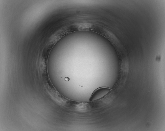 X0000111020761200906191652