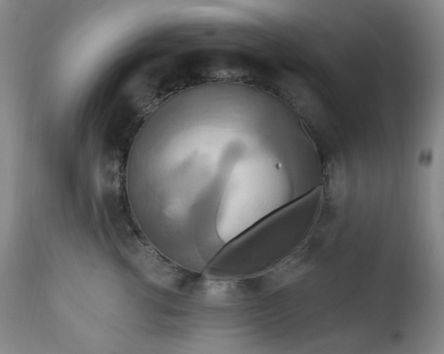 X0000111020762200906191652
