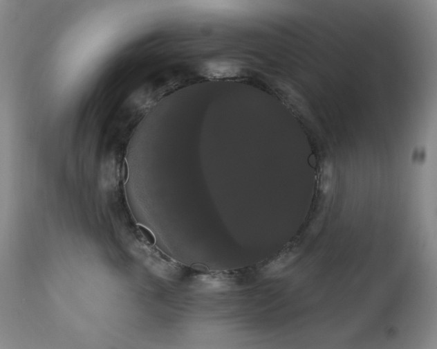 X0000111020763200906191652